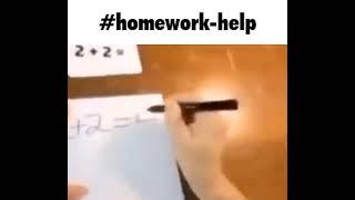 #Homework-Help MEME