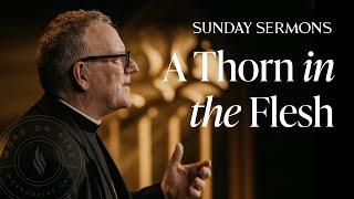 A Thorn in the Flesh - Bishop Barrons Sunday Sermon