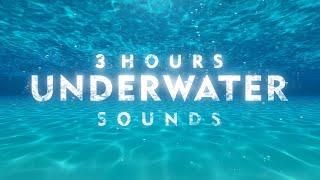 Underwater Sounds  Underwater Sound for Sleeping  Underwater Bubble Sounds  White Noise