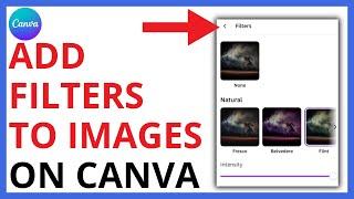 How to Add Filters to an Image on Canva QUICK GUIDE