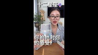  【十二星座】你想的人此刻对你的感受是什么？【无限时占卜】