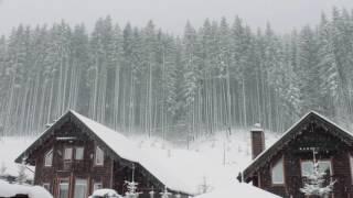 Blizzard Storm Sounds  Relaxing Winter Background Sounds  Heavy Wind & Snow