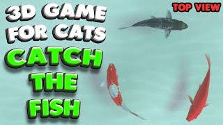 3D game for cats  CATCH THE FISH top view  4K 60 fps stereo sound