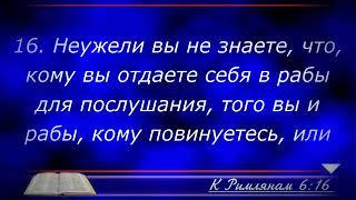 Бог не опоздает ты не бойся.