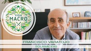 Vida Macro  Francisco Varatojo  Solanáceas