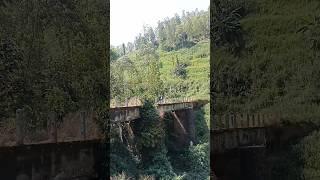 JEMBATAN BELANDA PALING ANGKER #viral #viral #hutanangker