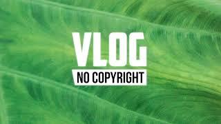 Hamili - Paradisio Vlog No Copyright Music