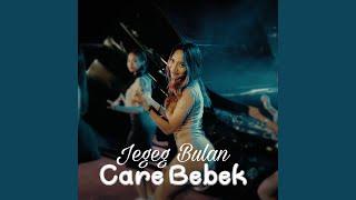 Care Bebek