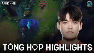 TỔNG HỢP HIGHLIGHTS RANK HÀN   TUYỂN TẬP NHỮNG PHA SOLO KILL ĐẲNG CẤP Ở Rank Hàn #1