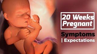 20 Weeks Pregnant  Pregnancy Week By Week Symptoms  The Voice Of Woman