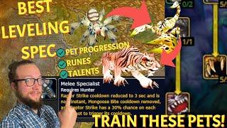 LEVEL FAST BEST P2 Hunter Leveling Spec Runes and Pets - Season of Discovery Phase 2 WoW
