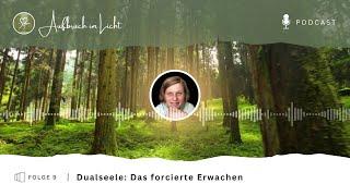 #Dualseele deine Dualseele als Booster für deinen Aufstieg.