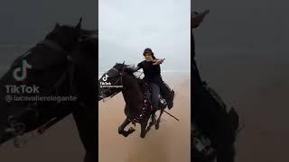 Hot Arabic Girl Horse Riding