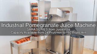 Pomegranate Juice Machine  For Large Pomegranate