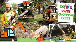 Tree Chopping Video For Kids  Chainsaw Wood Chipper Excavator Tree Climbing Fun With Ozzie
