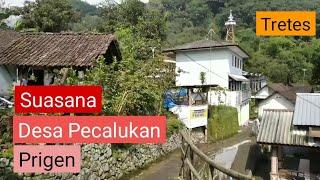 #Tretes #Pecalukan #Prigen  Kondisi Pecalukan Barat Saat Ini