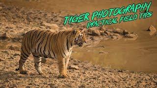 Photography Field Tips - Tiger Photography at Tadoba