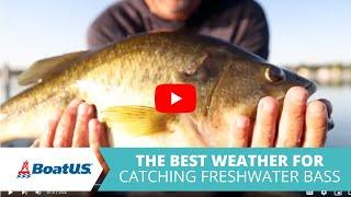 The BEST Weather For Catching Freshwater Bass  BoatUS