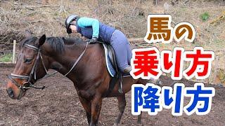 その降り方危険かも？！馬の乗り方と降り方