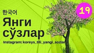 Koreys tili Yangi sozlar Koreys tilini organish Корейс тили