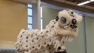 Hong Kong Open Championship 2017 - Chinese Lion Dance Team 7 柔功門夏敬文龍獅團