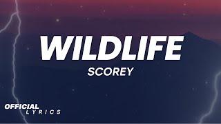 Scorey - Wildlife Lyrics ft. Sleepy Hallow