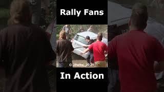 Rally Fans In Action #rally #shorts