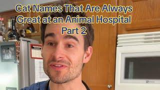 Cat Names That Are Always Great at an Animal Hospital - Part 2