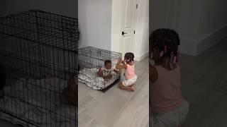 Dad catches Daughter Locking Sister In Dog Cage #shorts