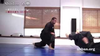 Shinken kata Chi no kata Shinden Fudō Ryū Dakentaijutsu for the AKBAN wiki