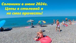 Солоники в июне 2024. Цены в столовой я не смог прочестьЛАЗАРЕВСКОЕ СЕГОДНЯСОЧИ.