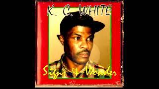 K.C. White - Money We Want - Signs & Wonders - Rhino Records 1997