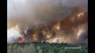 ОГРОМНЫЙ Пожар в Бресте  горит лес и трава 4K .dji mavic2  24. 04. 2020 #ВАСЬКАПИЛОТ