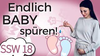 SSW 18 Erste Tritte deines Babys im Bauch  Beckenbodengewichte  Mein Kinderwunsch