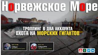 Троллинг в два аккаунта • Охота на Морских Гигантов • Русская Рыбалка 4 • Норвежское Море