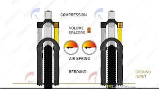 MTB Suspension for Beginners