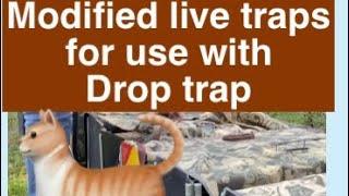 Modified live traps for use with drop trap for trapping feral cats #tnr