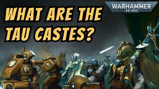 The Tau Caste System  Warhammer 40k Lore