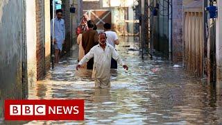 One third of Pakistan is under flood water says minister - BBC News