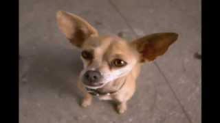 Taco Bell - Chihuahua 1997 USA