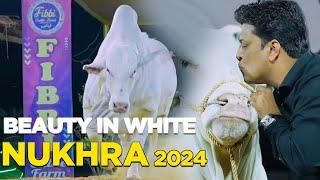 Beauty in White Nukhra 2024 at Fibbi Cattle Farm  The Diamond Of Atif Bhai @KarachiStories @fibbi