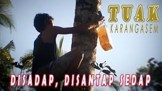 TuakNira  Minuman Tradisional  Begini Proses Penyadapannya Di Atas Pohon Kelapa.