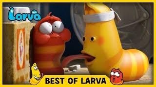 Червячки Мультик  LARVA 2017