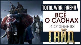 ГАЙД Total War Arena ► Слоны как их контрить? Кого качать против слонов?