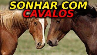 SONHAR COM CAVALOS Qual o significado? Aprenda a interpretar e entenda a polêmica