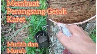 Perangsang Getah KARET cepat dan murah.