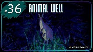 Animal Well  #36  Предмет У-медаль