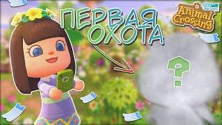 КТО КУДА А Я ОХОТИТЬСЯ ANIMAL CROSSING NEW HORIZONS YUKI CROSSING