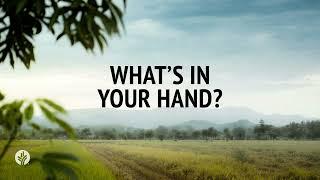 Whats in Your Hand?  Audio Reading  Our Daily Bread Devotional  August 30 2024