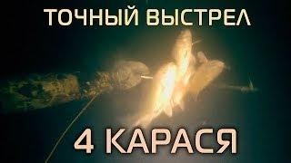 Точный выстрел  -  4 КАРАСЯ